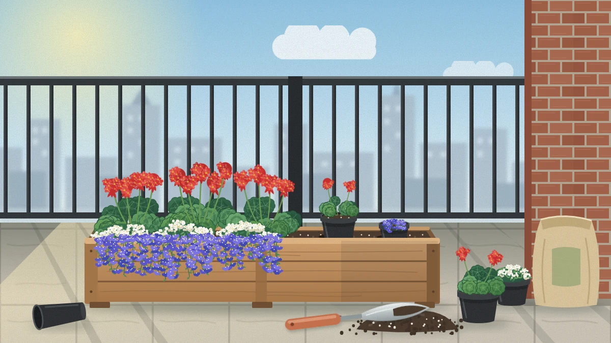 A long cedar flower box on a balcony floor, half planted with red geraniums, white flowers and trailing blue lobelia, with a trowel and nursery pots beside it.