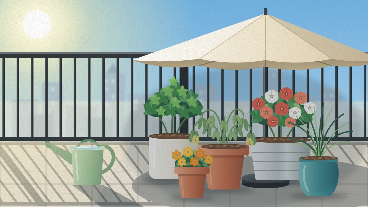 A balcony on a hot afternoon with pots grouped in the shade of a canvas umbrella, bark mulch on the soil and a watering can