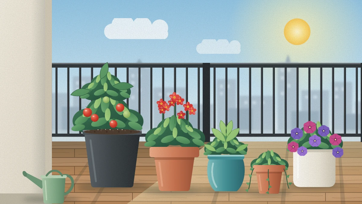 Small apartment balcony in morning light with five pots of different sizes grouped on wooden deck tiles, holding a geranium, basil, a tomato plant and trailing greenery beside a watering can