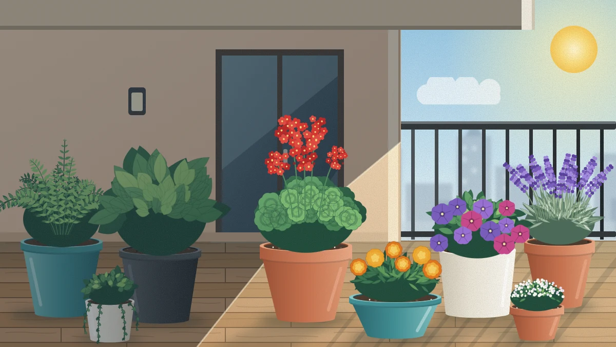 Balcony seen from the side at midday, divided by a diagonal shadow line into a sunlit half with flowering pots near the railing and a shaded half with leafy plants by the wall