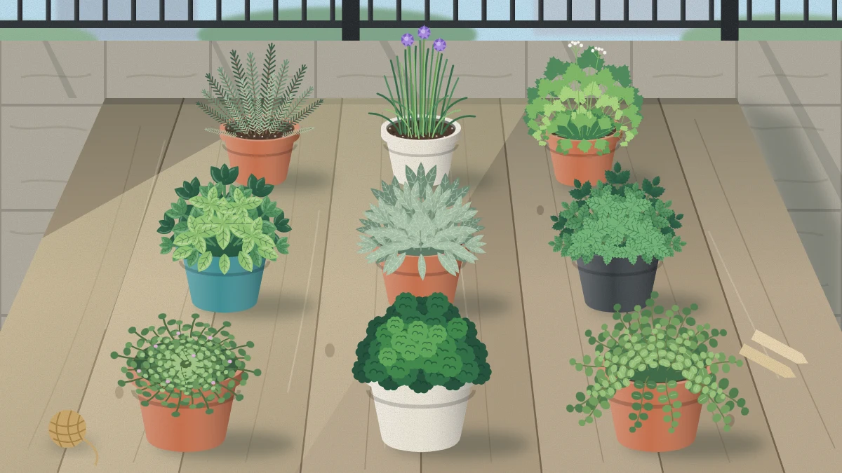 Nine potted herbs in three rows on a weathered wooden balcony table, including basil, rosemary, thyme, oregano, sage, parsley, chives, mint and cilantro