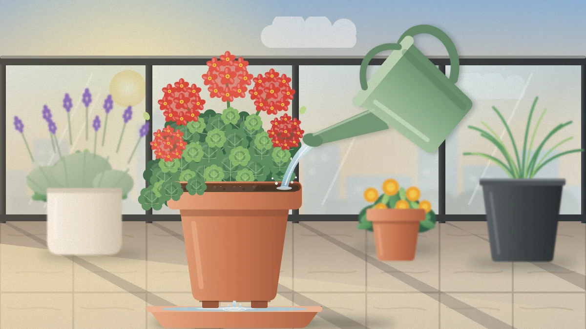 A sage-green watering can pouring a gentle stream onto the soil of a flowering potted plant on a balcony, water dripping into a saucer