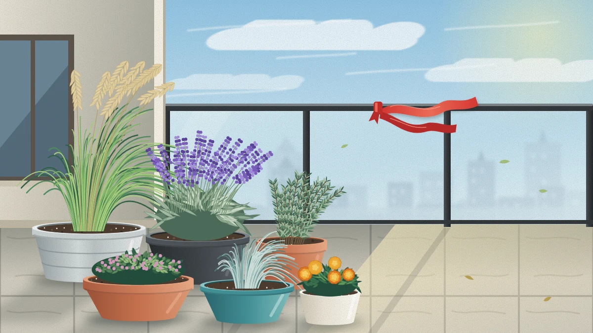 High-rise balcony on a breezy day with low wide pots grouped in a sheltered corner by the wall, grasses and lavender bending, and a ribbon streaming sideways from the railing